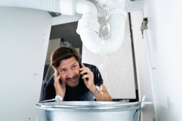 Best Water Softener Installation  in Weatherby Lake, MO